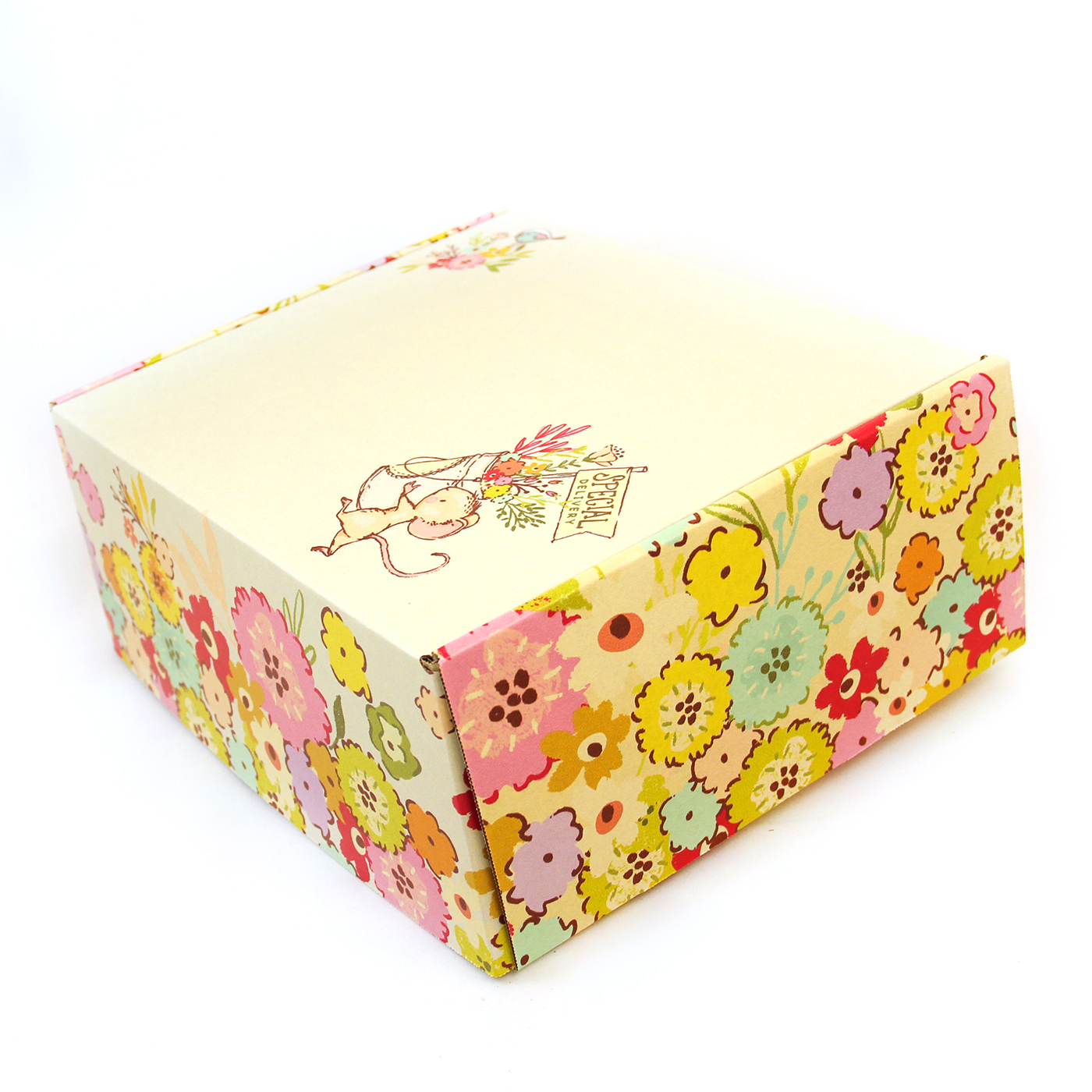 Sunny Adventures 4 Fun Gift Boxes